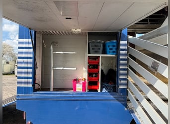 Końcówka pojazdu 814 Mercedes z homologacją H na 4 konie. Nowy przegląd techniczny.