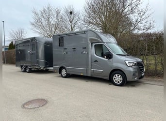 Przewoźnik koni Renault – zestaw do przewozu zwierząt z licencją B/E, transportery dla zwierząt, wła