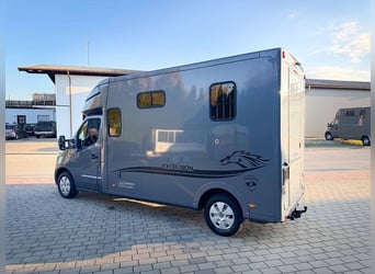 Transporter dla koni 5-osobowy, automatyczna skrzynia biegów, tylko 80 300 km Opel Movano klimatyzac