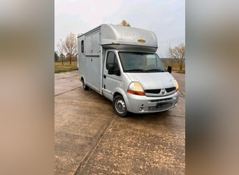 Używany transportowiec dla koni Renault Master