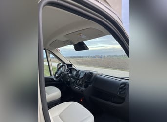 Koniowóz Peugeot Boxer 2024, tylko 29.000 km, nowa zabudowa - na gwarancji