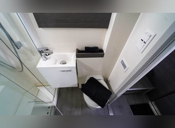 AKX D-range 4 konie z 2021 roku