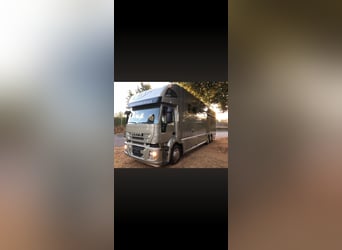 Iveco STX – ciężarówka dla 6 koni