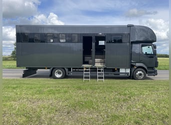 NEW - Volvo FL210 (AUT) - 5 horses and livingroom