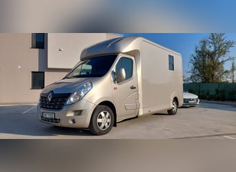 Renault Master 170 KM Euro 6 STX – Przyczepa do przewozu koni HARAS