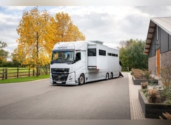 Roelofsen RR6 XL Profiliner - Przyczepa transportowa dla koni, Horsetruck z systemem Pop-Out, na 5 k