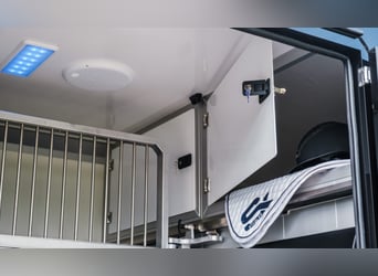 STX 2 Horses ogier – dostępnych wiele wersji!