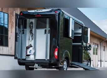 STX 2 Horses ogier – dostępnych wiele wersji!