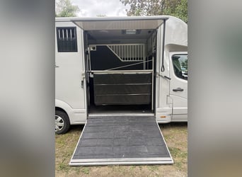 Świetny dwupokładowy transporter dla koni