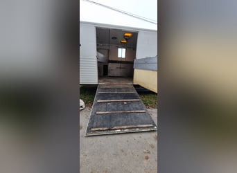 MAN Pferdetransporter mit Stallzelt ohne TÜV