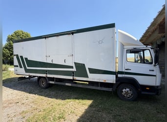 Mercedes-Benz 814 samochód do przewozu koni