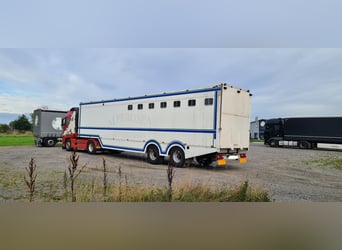 Pferdetransporter  NOPA für bis zu 6 Pferde - mit abgetrenntem Wohnabteil