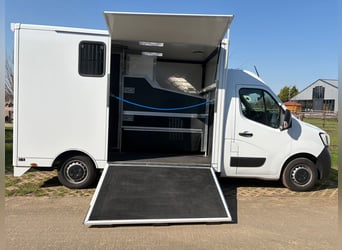 Nowy dwupojazdowy transporter dla koni