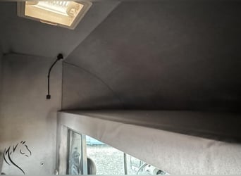Original Paragan Horsebox im super Zustand 
