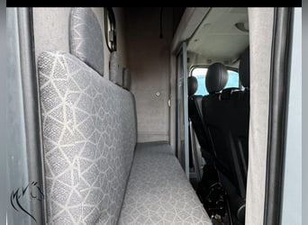Original Paragan Horsebox im super Zustand 