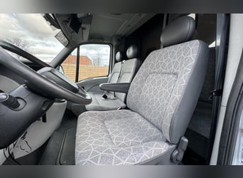 Original Paragan Horsebox im super Zustand 