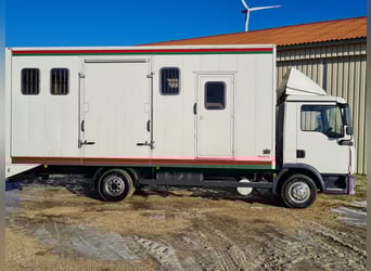Pferdetransporter LKW MAN TGL8.180