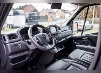 Pferdetransporter LKW Sprinter Renault Master STX 3 Haras