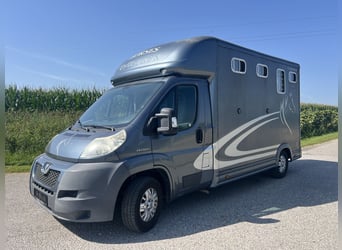 Pferdetransporteuer Peugeot -Reserviert