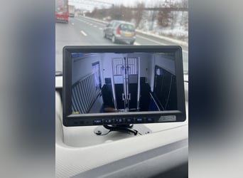 Przewoźnik koni Renault Primero