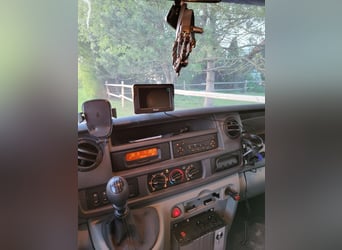 Renault dci120 Pferdetransporter