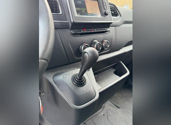 Renault JK Przyczepa dla koni, wersja dla ogiera!