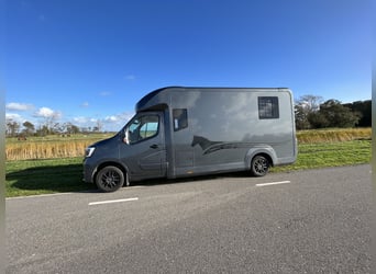 Renault master 2022 hengstenuitvoering 