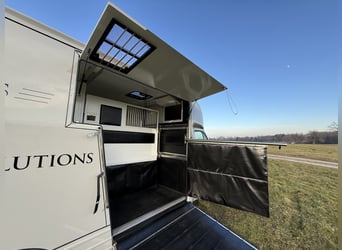 Renault Pferde-Sprinter – 2-Pferde