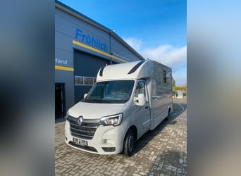 Renault transport de chevaux 3,5t, 1-2 Pf., 180 PS, Auf. NOUVEAU