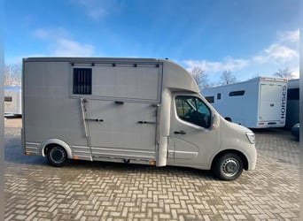 Renault transport de chevaux 3,5t, 1-2 Pf., 180 PS, Auf. NOUVEAU