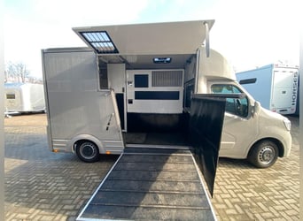 Renault transport de chevaux 3,5t, 1-2 Pf., 180 PS, Auf. NOUVEAU