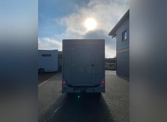 Renault transport de chevaux 3,5t, 1-2 Pf., 180 PS, Auf. NOUVEAU