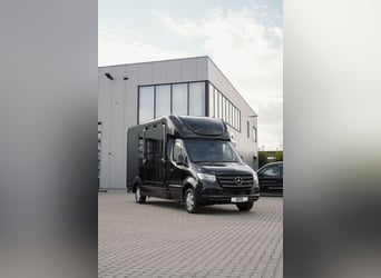 STX 2 Horses – Ekskluzywny Mercedes Sprinter