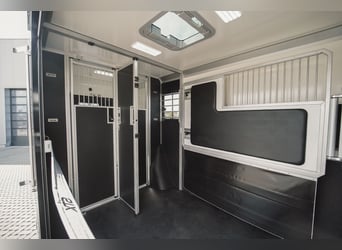 STX 2 Horses – Ekskluzywny Mercedes Sprinter