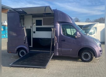Transporter for horses Opel Movano 3.5 tons, 2 horses, registration 2021