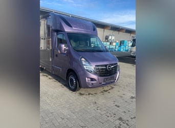 Transporter for horses Opel Movano 3.5 tons, 2 horses, registration 2021