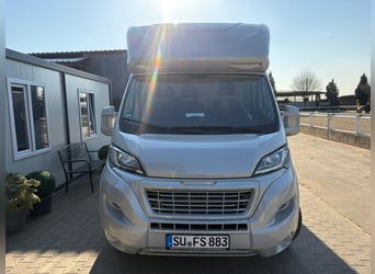 Używany transporter koni w doskonałym stanie