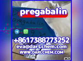 Proszek z pregabalinem. Biały proszek o wysokiej czystości, 99,99%
