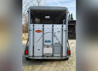 Böckmann Portax Prof. | Znany z kursów Wehorse | Aluminium, 100 km/h, światła i przestrzeń