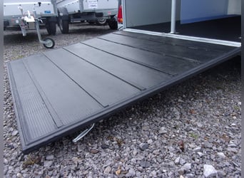 CL Gold First: najlepszy dwukierunkowy wybór pod względem stosunku jakości do ceny na rynku!