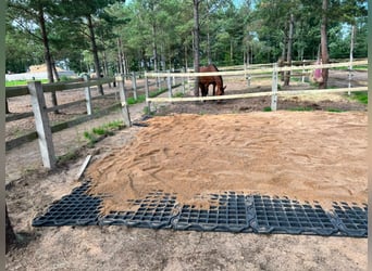 Drainagematte ECO Large – für Stallungen, Paddocks & Parkplätze