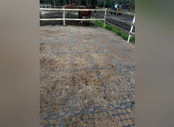 Drainagematte ECO Large – für Stallungen, Paddocks & Parkplätze