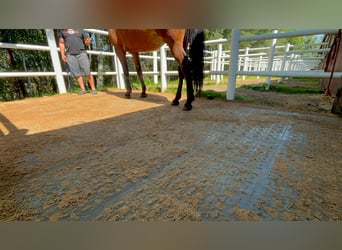 Drainagematte ECO Large – für Stallungen, Paddocks & Parkplätze
