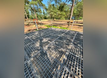 Drainagematte ECO Large – für Stallungen, Paddocks & Parkplätze