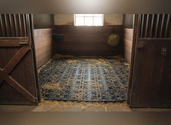Drainagematte ECO Large – für Stallungen, Paddocks & Parkplätze