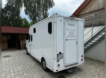 Międzynarodowy  Transport Koni