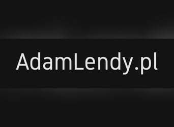 Ubezpieczenia dla świata jeździeckiego – od AdamLendy.pl! 