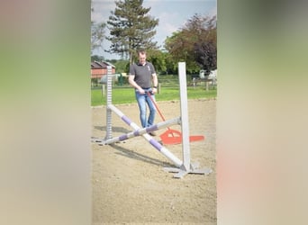 Handhufschlagräumer