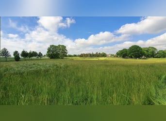 15 hektarów ziemi, przepiękny ośrodek jeździecki w Passin, Meklemburgia-Pomorze Przednie, blisko Mor