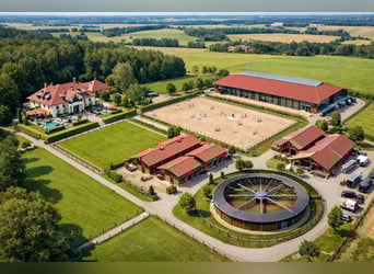 5* Reitanlage an der deutsch/holländischen Grenze